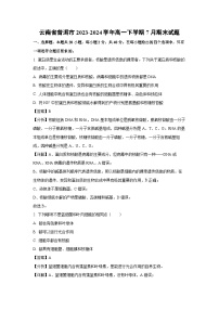 云南省普洱市2023-2024学年高一下学期7月期末生物试卷（解析版）