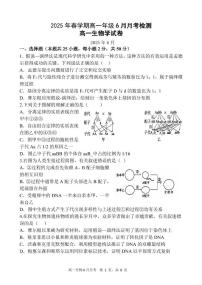 甘肃省张掖市某校2024-2025学年高一下学期6月月考生物试卷（PDF版附答案）