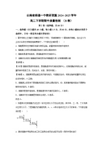 云南省昭通一中教研联盟2024~2025学年高二下期中质量检测 （B卷）生物试卷（解析版）