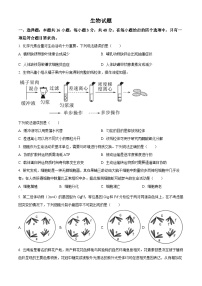 2025年高考云南卷生物高考真题（解析版）