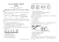 黑龙江省双鸭山市第一中学2024-2025学年高一下学期6月月考生物试卷（PDF版附答案）