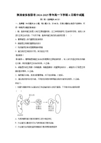 【生物】陕西省多校联考2024-2025学年高一下学期4月期中试题（解析版）