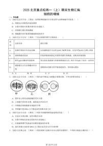 2025北京重点校高一（上）期末真题生物汇编：细胞的增殖