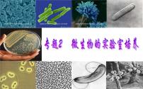 人教版 (新课标)选修1《生物技术实践》微生物的实验室培养复习课件ppt