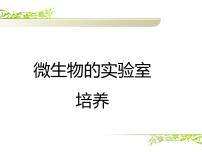 高中生物人教版 (新课标)选修1《生物技术实践》微生物的实验室培养课文课件ppt
