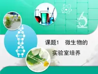 高中生物人教版 (新课标)选修1《生物技术实践》微生物的实验室培养复习课件ppt
