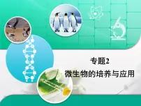 生物选修1《生物技术实践》微生物的实验室培养复习课件ppt