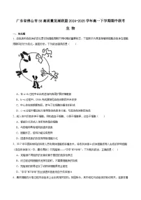 广东省佛山市S6高质量发展联盟2024-2025学年高一下学期期中联考生物试题（Word版附答案）