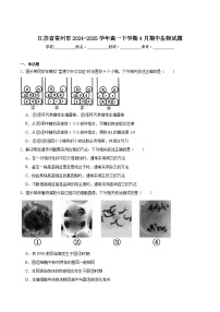 江苏省常州市2024-2025学年高一下学期4月期中考试生物试题（Word版附答案）