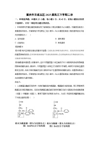 重庆市主城五区2025届高三下二诊（解析版生物试卷