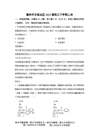 重庆市主城五区2025届高三下二诊（解析版生物试卷