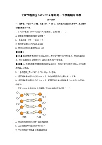 【生物】北京市朝阳区2023-2024学年高一下学期期末试卷 （解析版）