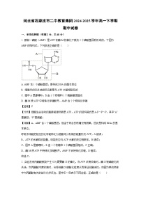 【生物】河北省石家庄市二中教育集团2024-2025学年高一下学期期中试卷（解析版）