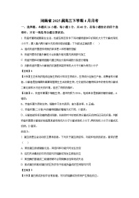 【生物】河南省2025届高三下学期4月月考（解析版）