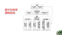 人教版 (2019)必修1《分子与细胞》细胞是生命活动的基本单位教课内容课件ppt