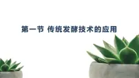 人教版 (2019)选择性必修3传统发酵技术的应用课堂教学ppt课件