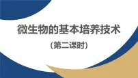 人教版 (2019)选择性必修3微生物的基本培养技术教学课件ppt