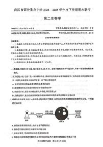 湖北省武汉市部分重点中学2024-2025学年高二下学期期末联考生物试题（扫描版附答案）