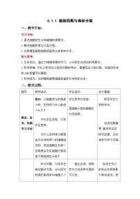高中生物人教版 (2019)必修1《分子与细胞》细胞的增殖教学设计