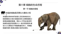 必修1《分子与细胞》细胞的增殖课文ppt课件