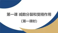 高中生物受精作用教学课件ppt