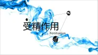 人教版 (2019)必修2《遗传与进化》受精作用背景图ppt课件