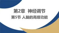 高中人教版 (2019)人脑的高级功能教课内容课件ppt