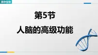 高中生物人教版 (2019)选择性必修1人脑的高级功能教学课件ppt