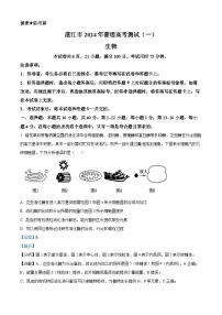 广东省湛江市2024届高三一模生物试卷（Word版附解析）