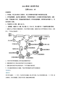 山东省青岛市2024届高三下学期二模生物试卷（Word版附解析）