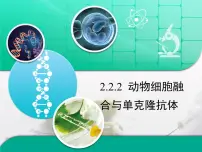 人教版 (新课标)选修3《现代生物科技专题》动物细胞融合与单克隆抗体复习课件ppt
