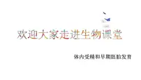 人教版 (新课标)选修3《现代生物科技专题》体内受精和早期胚胎发育说课ppt课件