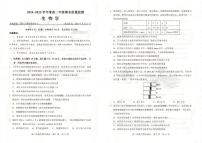湖北省武昌区2024~2025学年度高二年级下学期期末质量检测 生物试题（含答案）