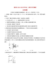 重庆市2024_2025学年高二生物上学期12月月考试题