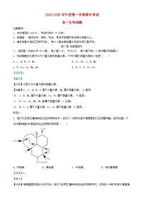 江苏省连云港市东海县2024_2025学年高一生物上学期期中试题含解析