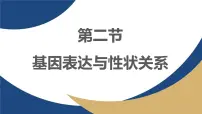高中生物基因表达与性状的关系教学课件ppt