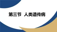 人教版 (2019)必修2《遗传与进化》人类遗传病教学ppt课件
