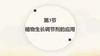 生物选择性必修1植物生长调节剂的应用示范课课件ppt