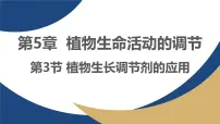高中生物人教版 (2019)选择性必修1植物生长调节剂的应用说课ppt课件