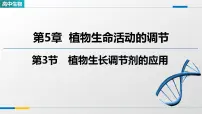 高中生物人教版 (2019)选择性必修1植物生长调节剂的应用背景图ppt课件