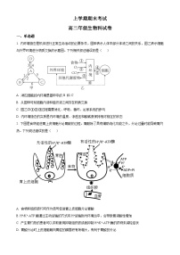 高二上学期期末人教版生物试题 无答案