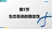 人教版 (2019)选择性必修2生态系统的稳定性集体备课课件ppt