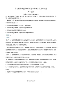 湖南省长沙市雅礼教育集团2024-2025学年高一下学期5月月考生物试题（Word版附解析）