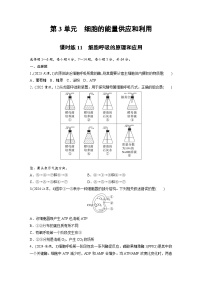 【备考2026】高考生物一轮复习资源：第3单元 课时练11 细胞呼吸的原理和应用（课时精练）（学生版）