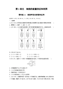 【备考2026】高考生物一轮复习资源：第3单元 课时练11 细胞呼吸的原理和应用（课时精练）（学生版）