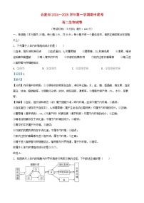 安徽省合肥市2024_2025学年高二生物上学期期中试题含解析