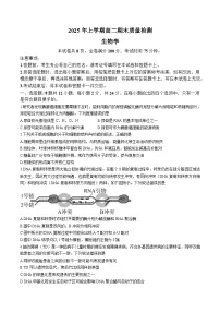 湖南省湘潭市2024-2025学年高二下学期期末考试生物试卷（Word版附解析）