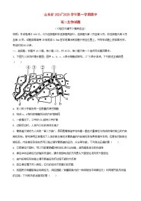 山东省2024_2025学年高二生物上学期11月期中试题含解析