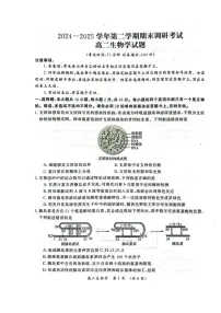 河南省开封市2024-2025学年高二下学期期末考试生物试卷