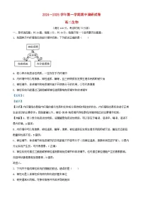 江苏省宿迁市2024_2025学年高二生物上学期11月期中试题含解析